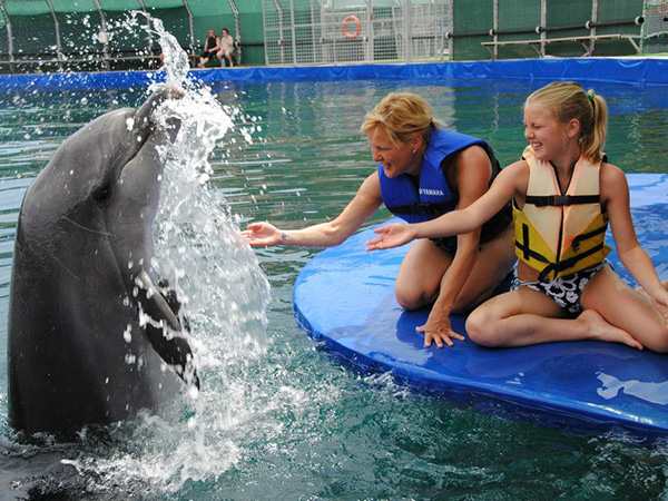 Dolphin Show in Marmaris